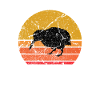 Retro Sonne Kiwi Laufvogel Geschenk