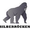 Silberrücken | Gorilla