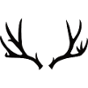 Jagd und Geweih
