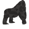 Silberrücken | Gorilla