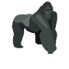 Silberrücken | Gorilla