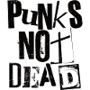 Punks Not Dead - Vintage Grunge - Punk Is Not Dead