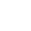 Evolution American Cocker Spaniel Walker
