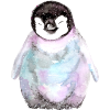 Petit Pingouin 150321