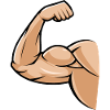 biceps muscle