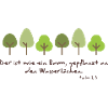 Tree planted