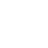 The pensioner