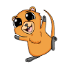 Quokka