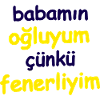 babamin ogluyum cünkü fenerliyim