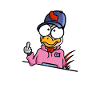 Chicken shows middle finger