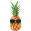 Ananas mit Brille