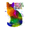 Bunte Katze