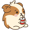 Hamster