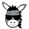 donkey