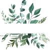 Botany customizable