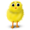 sweet chick