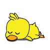 Canard pyjama pyjama