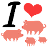 I LOVE PIGS