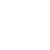 Brain Ghost