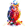 Bunte Eule, Aquarell