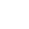 Fencing Fencing Degen