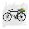fahrrad blumen radfahrer