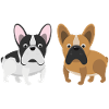 Two Bulls - French Bulldog