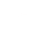 Pilot