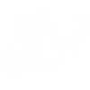 White Bird of Peace