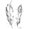 Springs