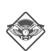 BORN TO RIDE