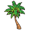 Palm tree