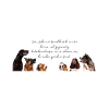Vivre avec un chien