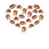 Coeur de Hérisson