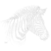 Bronko55 No.54 – Zebra