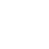 Geometry Tiger
