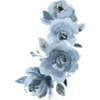 Blaue Blumen