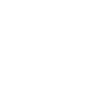 Swan Expert