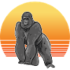 Gorilla Sun