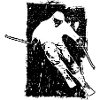 ski skier grunge descent