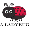 IN LADYBUG
