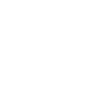 Crow Raven