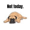 Bullmastiff Gift