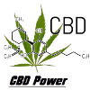 CBD Power Collection