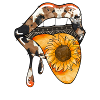 Cowhide and Sunflower Tongue