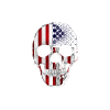 American Motorcycle Skull
