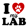 Labrador
