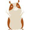 guinea pig