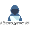 IP Computer Scientist Programmer It Coding