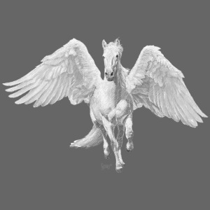 Bronko55 No.49 – Pegasus